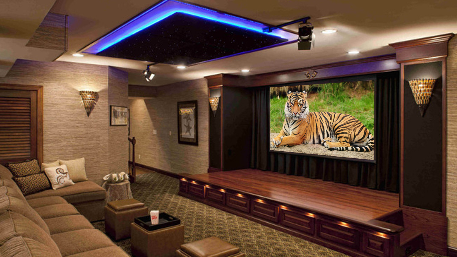 Dedicated Home Theater & Media Rooms